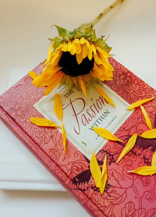 The Ultimate Guide to Creating Stunning Recycled Book Art